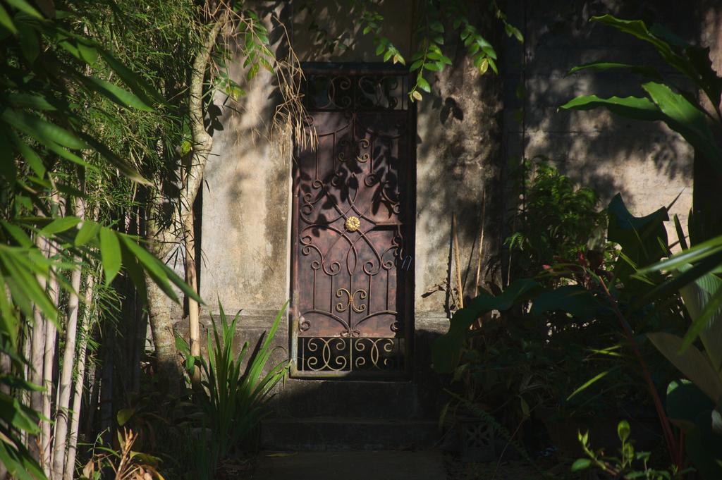 Taman Rahasia Tropical Sanctuary And Spa Ubud Esterno foto