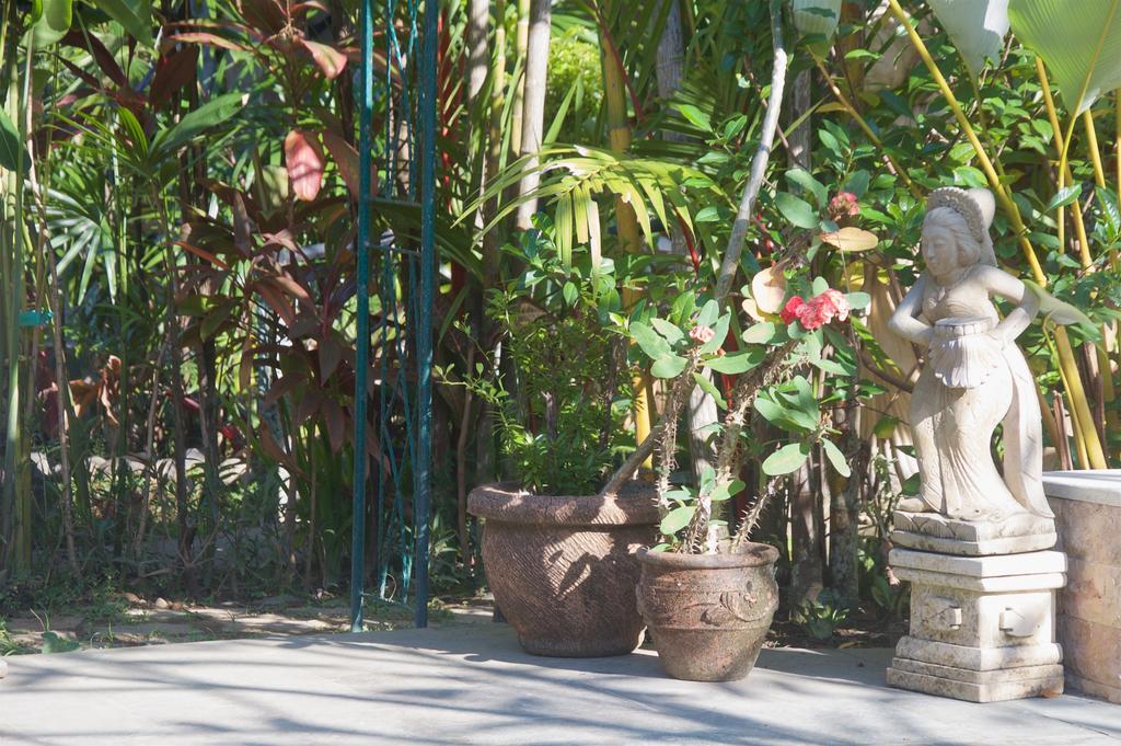 Taman Rahasia Tropical Sanctuary And Spa Ubud Esterno foto